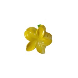 Hair Clips