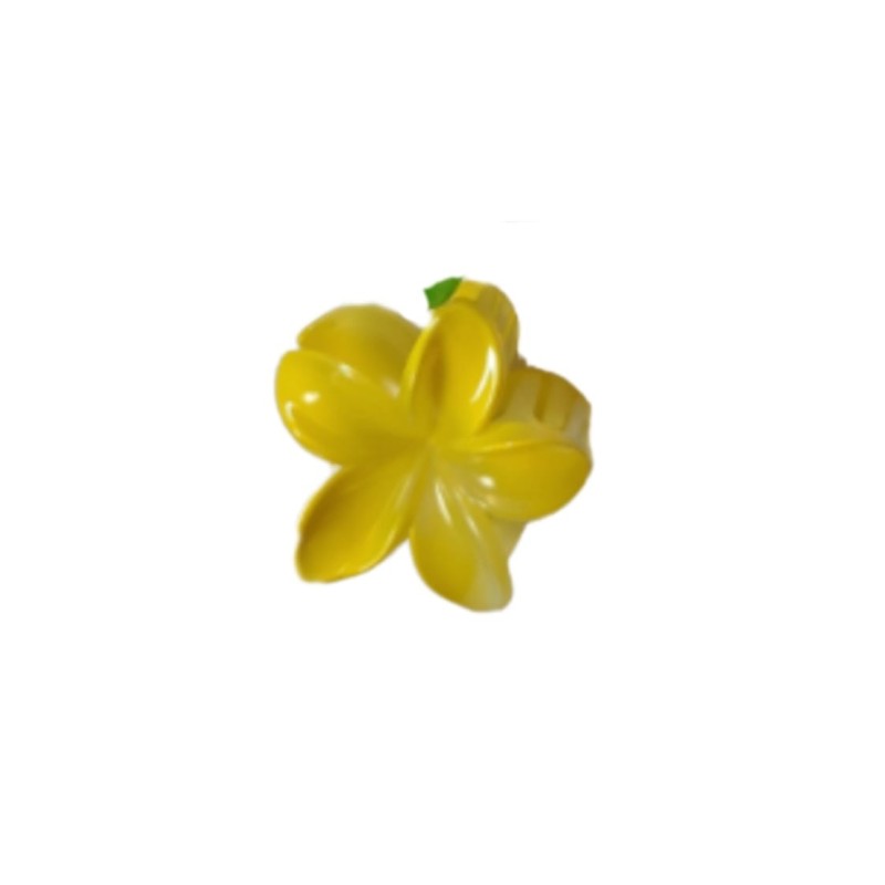 Hair Clips
