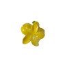 Hair Clips