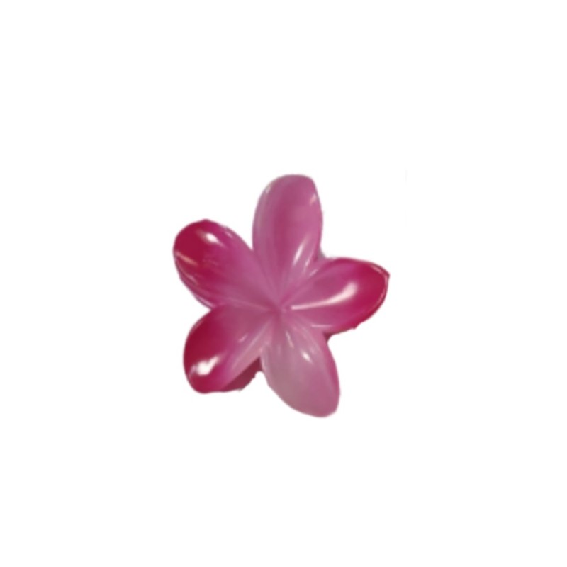 Hair Clips