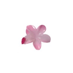 Hair Clips