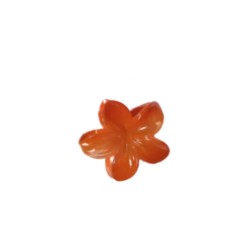 Hair Clips